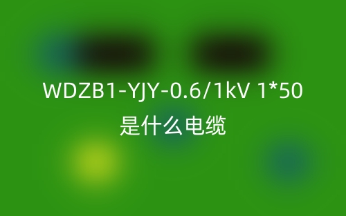 WDZB1-YJY-0.6/1kV 1*50是什么電纜?(圖1)