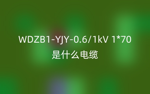 WDZB1-YJY-0.6/1kV 1*70是什么電纜？(圖1)