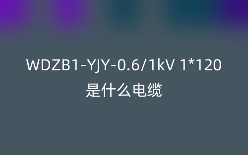 WDZB1-YJY-0.6/1kV 1*120是什么電纜？(圖1)