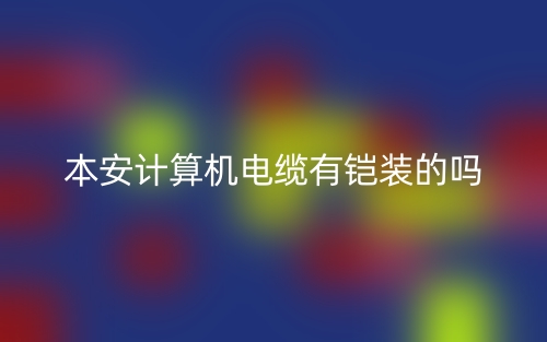 本安計算機電纜有鎧裝的嗎？(圖1)
