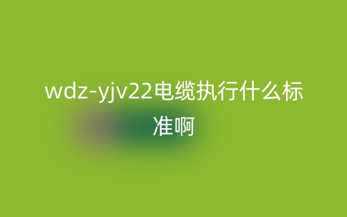 wdz-yjv22電纜執(zhí)行什么標準?。?圖1)