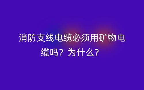 消防支線電纜必須用礦物電纜嗎？為什么？(圖1)