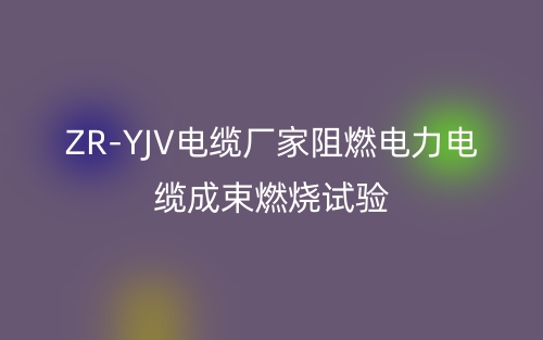 ZR-YJV電纜廠家阻燃電力電纜成束燃燒試驗(圖1)