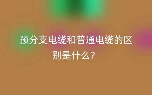 預(yù)分支電纜和普通電纜的區(qū)別是什么？(圖1)