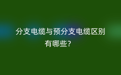 分支電纜與預分支電纜區(qū)別有哪些？(圖1)