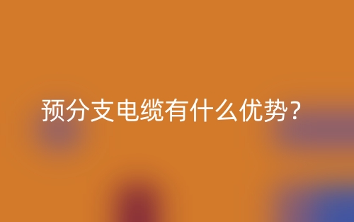 預(yù)分支電纜有什么優(yōu)勢？(圖1)