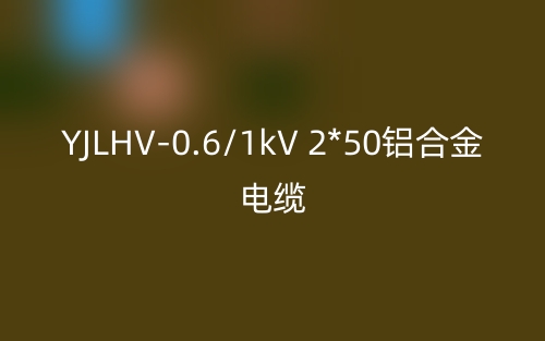 YJLHV-0.6/1kV 2*50鋁合金電纜價(jià)格_YJLHV-2*50載流量(圖1)