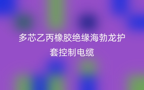 多芯乙丙橡膠絕緣海勃龍（氯丁橡膠）護(hù)套控制電纜(圖1)