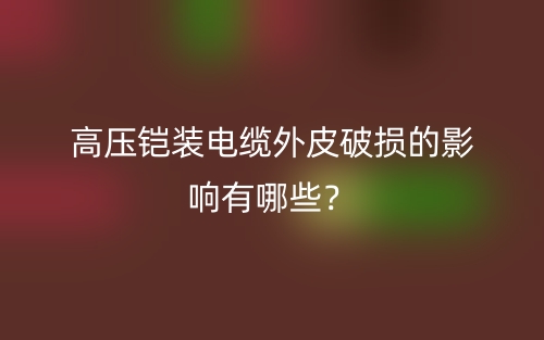 高壓鎧裝電纜外皮破損的影響有哪些？(圖1)